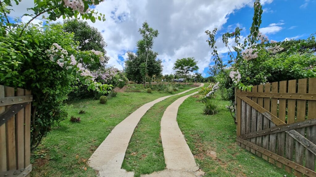 【判例解説】囲繞地通行権（民法210条〜213条）と通行地役権の重要判例｜分割・時効取得・費用負担【