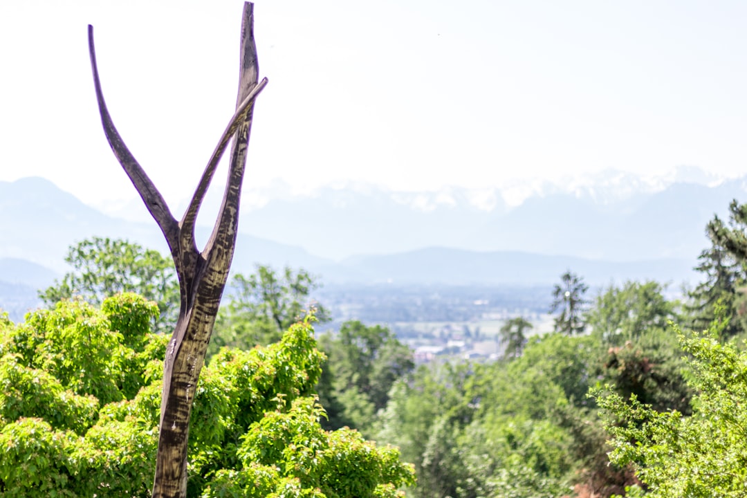 【判例解説】相隣関係の重要判例と令和3年改正｜隣地使用権・越境・日照権・所有者不明土地【宅建2026 解説