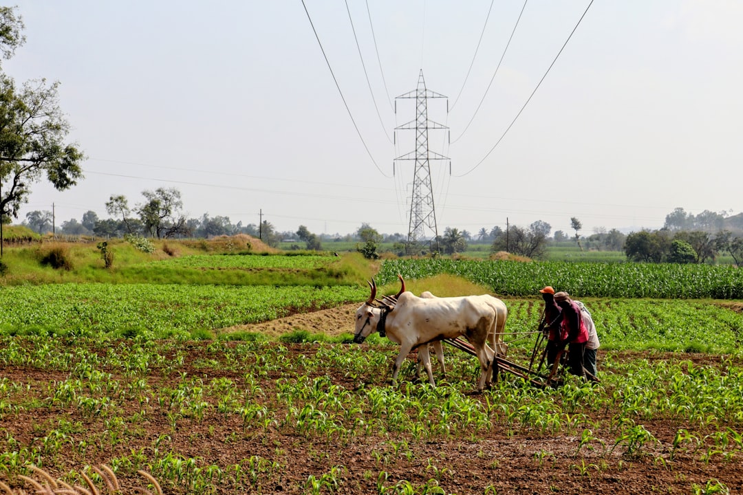 宅建「農地法」完全攻略｜3条・4条・5条の違いと許可が不要なケース 解説