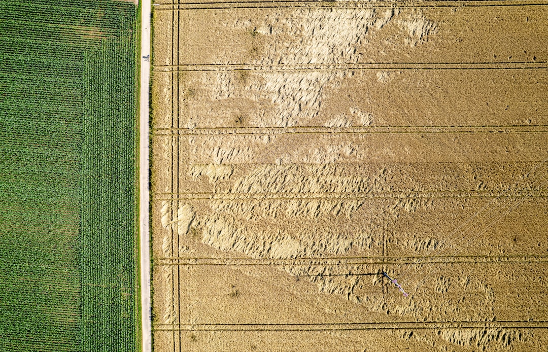土地売却の流れと注意点｜測量・越境・農地転用・解体の判断ポイント 解説