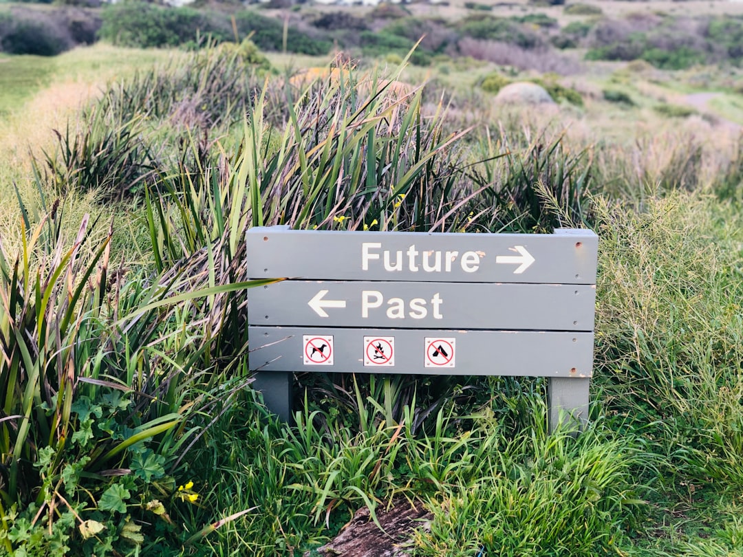 マンション管理士の仕事・年収・将来性｜取得後のキャリアパスを徹底解説 解説