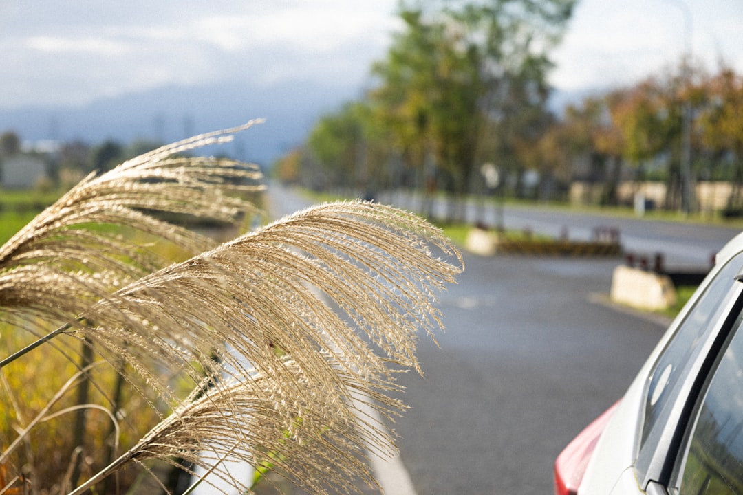 戸建て持ちが始める副業5選｜駐車場・太陽光・民泊の収益比較【2026年版】 解説