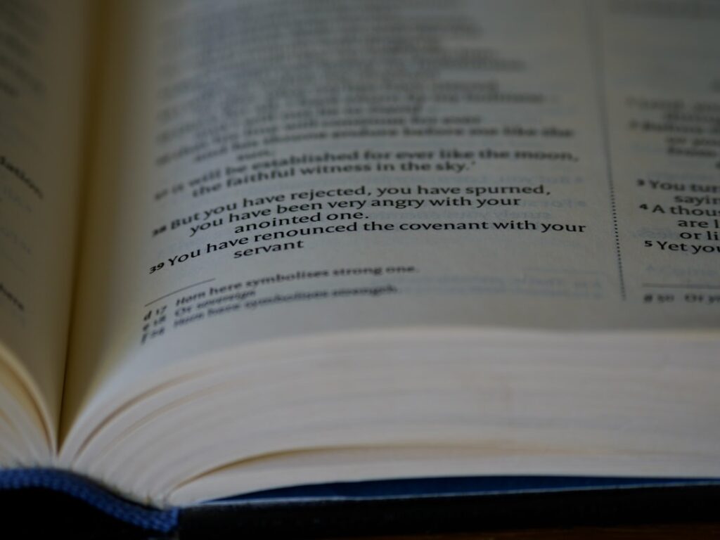 建築基準法の防火・準防火地域の規制を宅建試験向けに完全解説