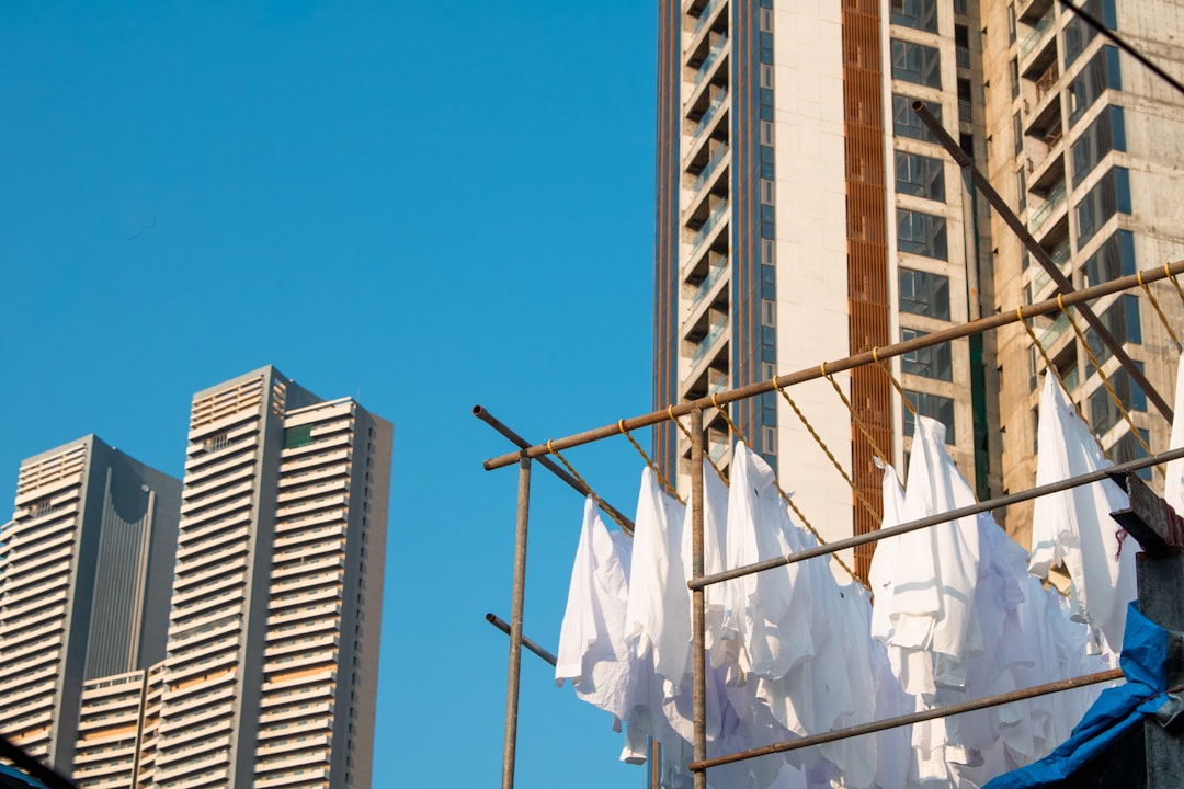 コインランドリー経営の始め方【初期費用・収益モデルと成功のポイント2026年版】 解説