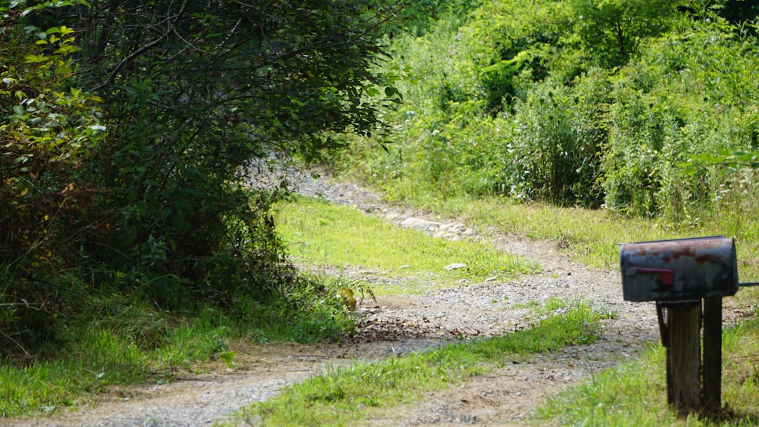 地役権・通行権の基礎知識【隣地との権利関係トラブルと解決法2026年版】 解説