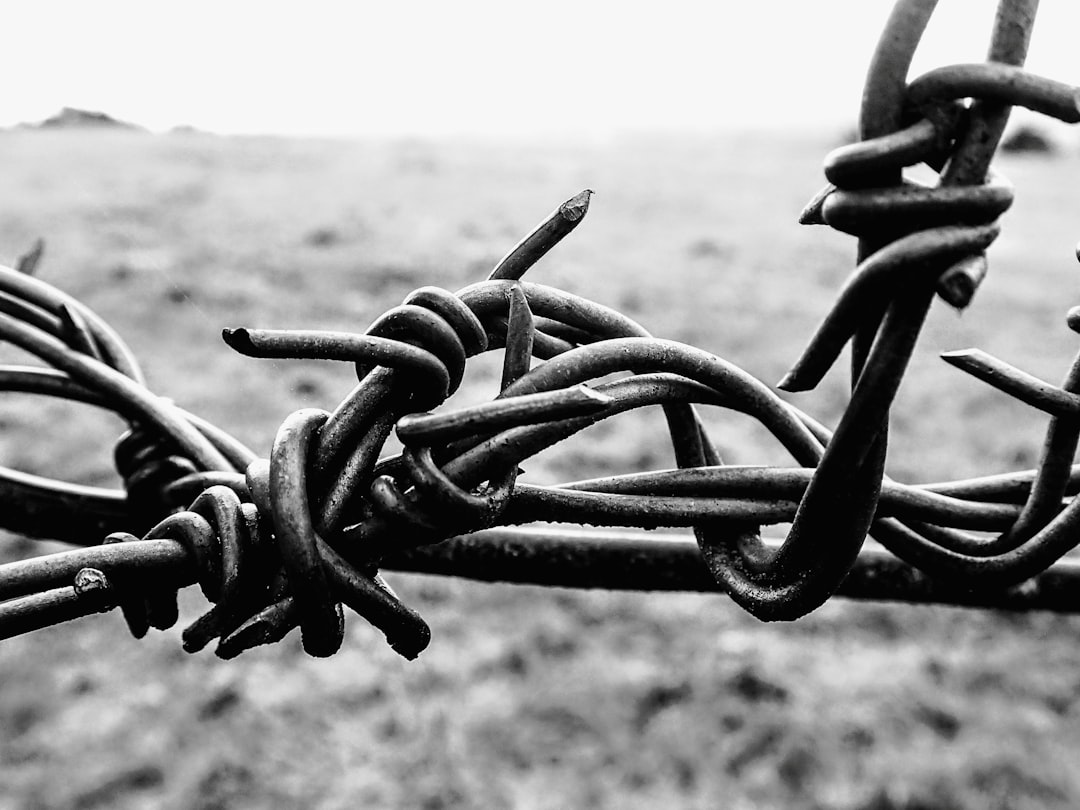 地役権・通行権の基礎知識【隣地との権利関係トラブルと解決法2026年版】