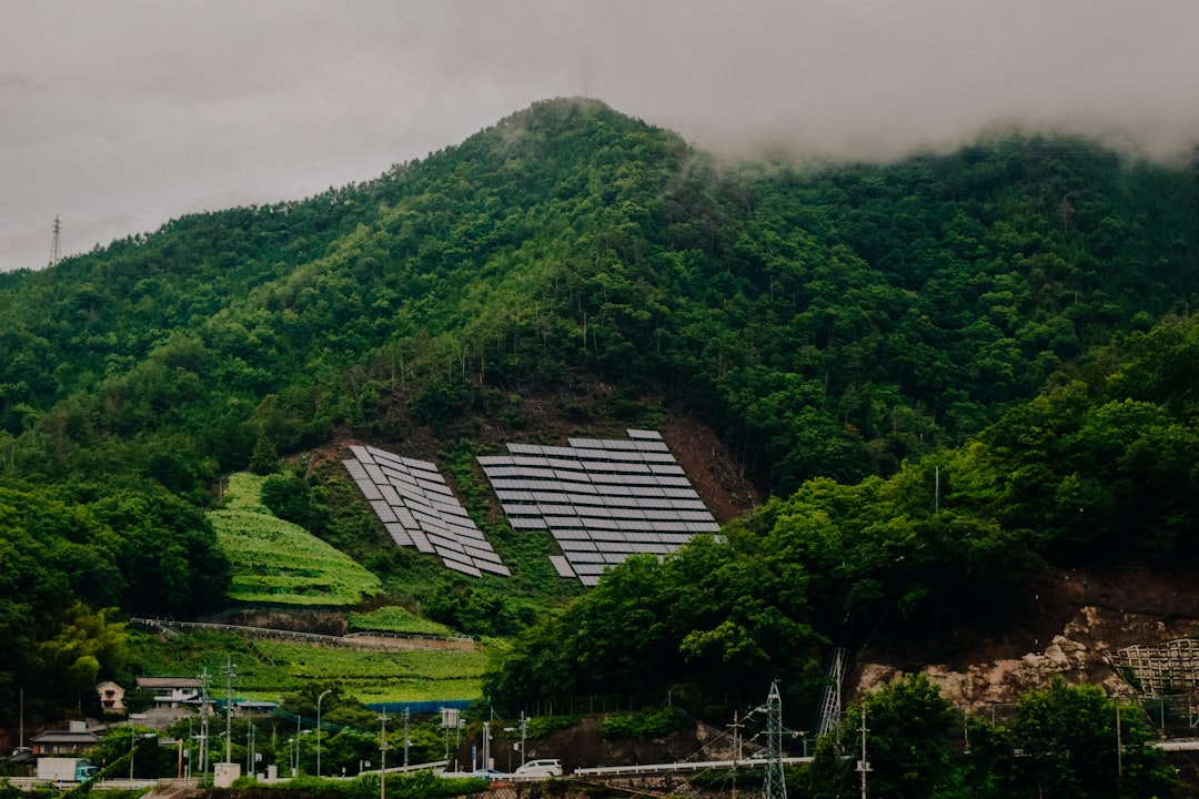 太陽光発電投資の始め方【FIT制度・利回り・リスクと2026年の最新動向】 解説