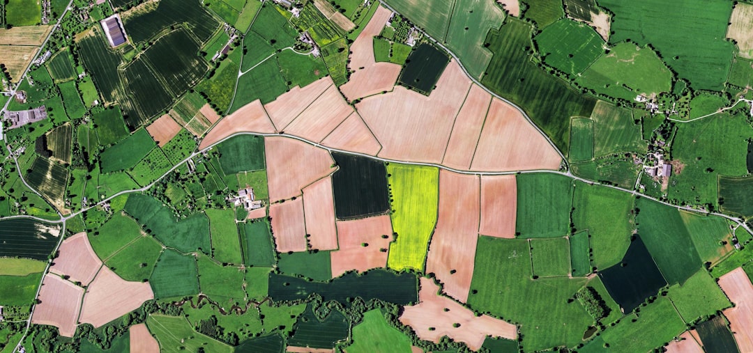 地積規模の大きな宅地の評価【相続税の減額ポイントと適用要件2026年版】