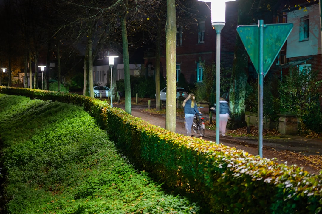 特定賃貸借契約の重要事項説明書のイメージ