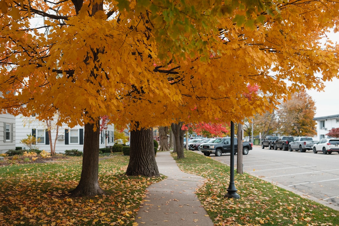 敷金返還の流れ図解（退去→立会→精算→返還）