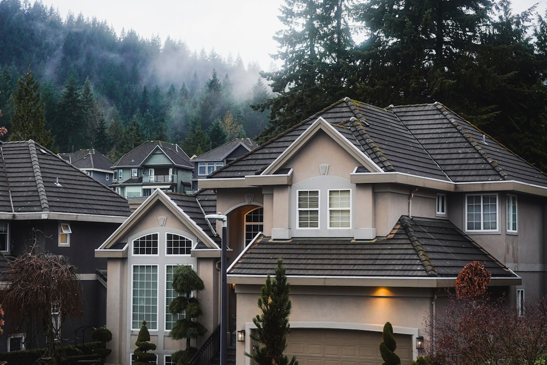 レインズ・囲い込み問題・専任媒介の図解