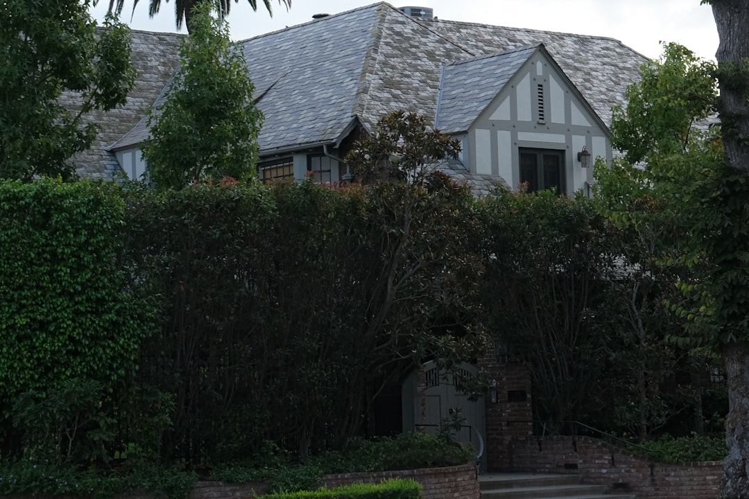 一括査定サービスの選び方