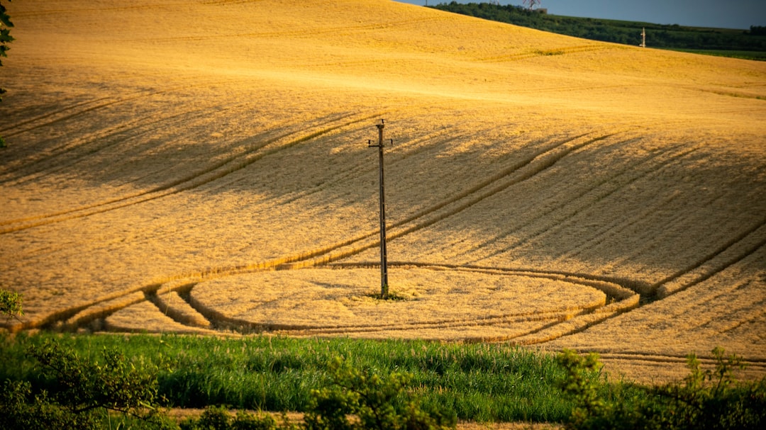 建物外観・不動産 800×450px