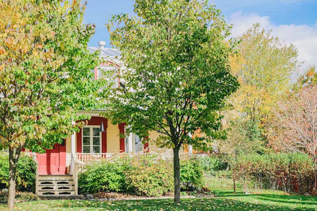 市街化調整区域の建築可否フロー図