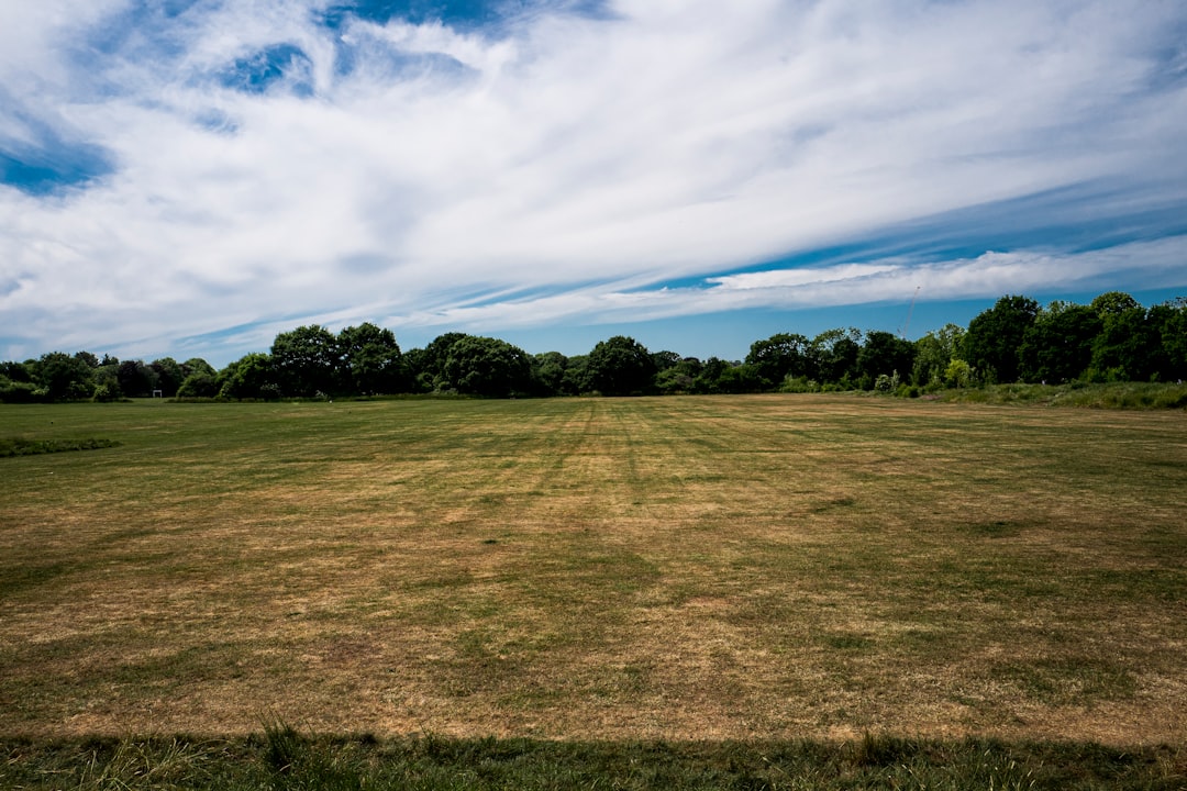 マンション管理 書類 契約書 書面