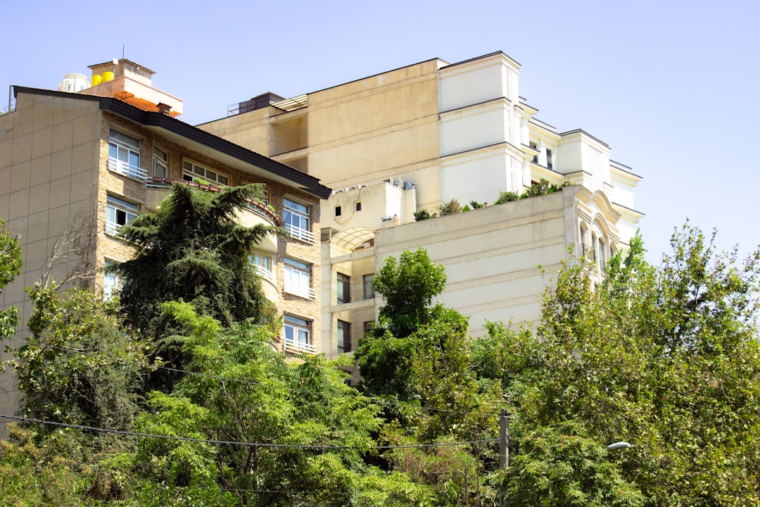 管理組合法人の組織図