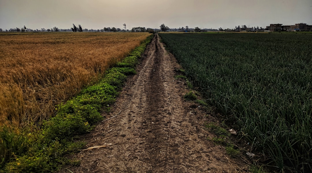 都市郊外・田舎の建物のイメージ