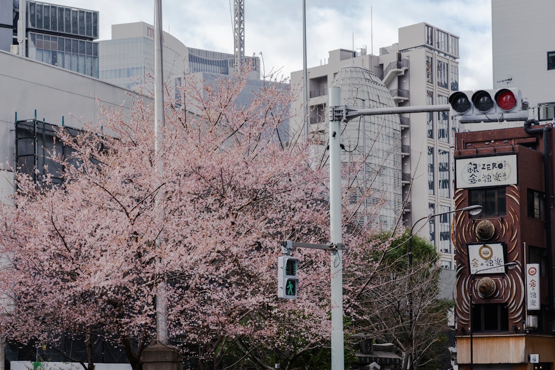 配偶者居住権の仕組み