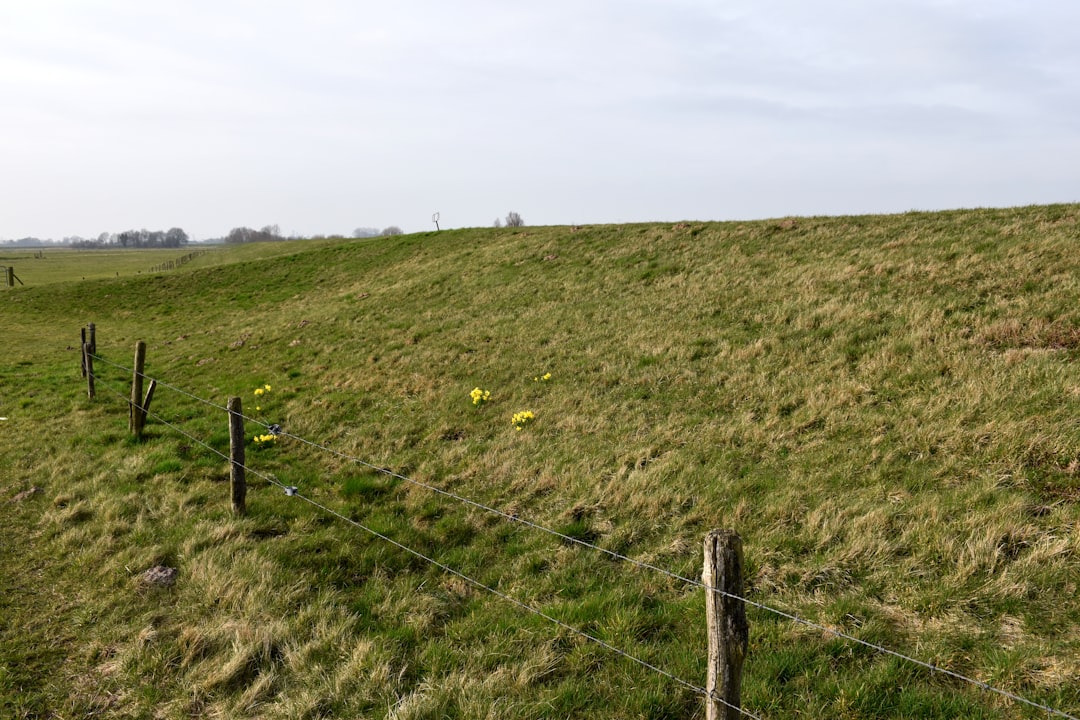 Modern white building with ribbed facade against blue sky