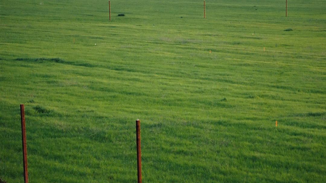 Apartment building balconies against a clear blue sky