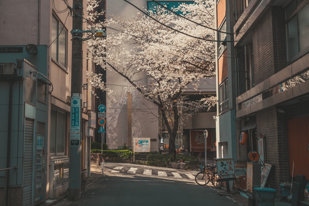内容証明郵便の書き方例