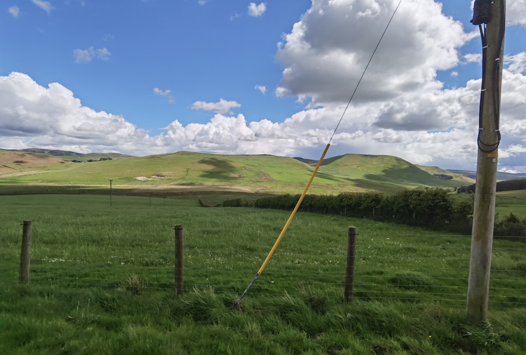 white and gray office rolling chairs