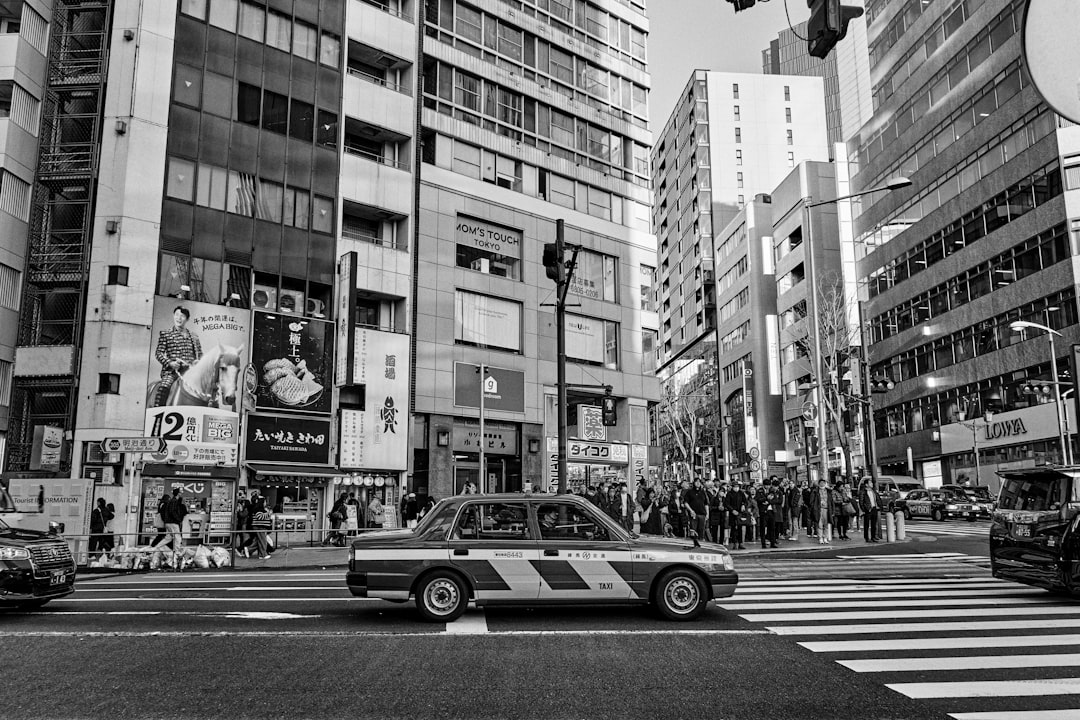 共有物の行為分類表