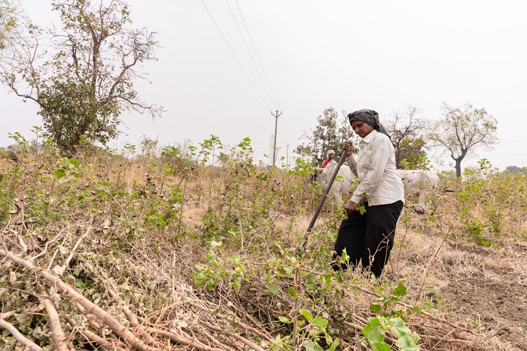 土地と建物の権利関係のイメージ