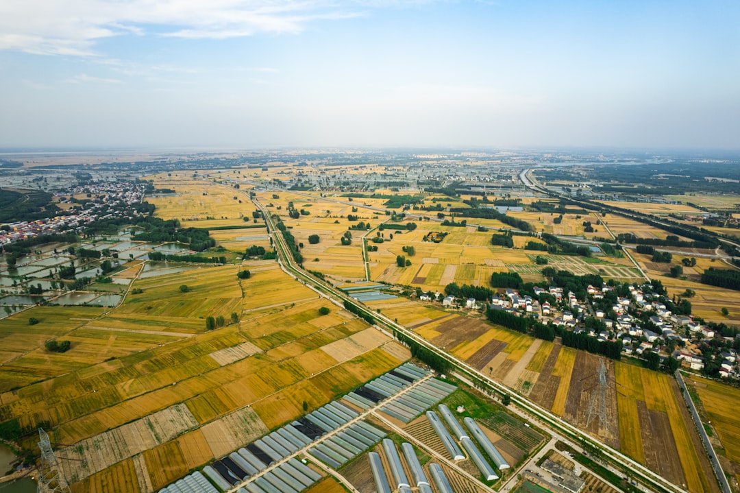 土地（更地・空き地）の売却方法と注意点【2026年版】農地・山林・変形地の特殊対